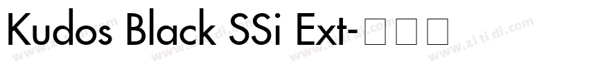 Kudos Black SSi Ext字体转换